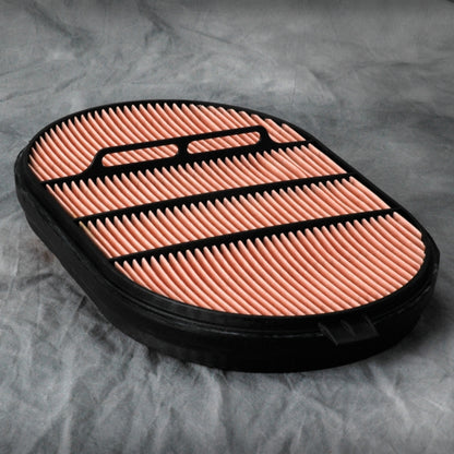 Filtro de aire secundario de seguridad DONALDSON P607557